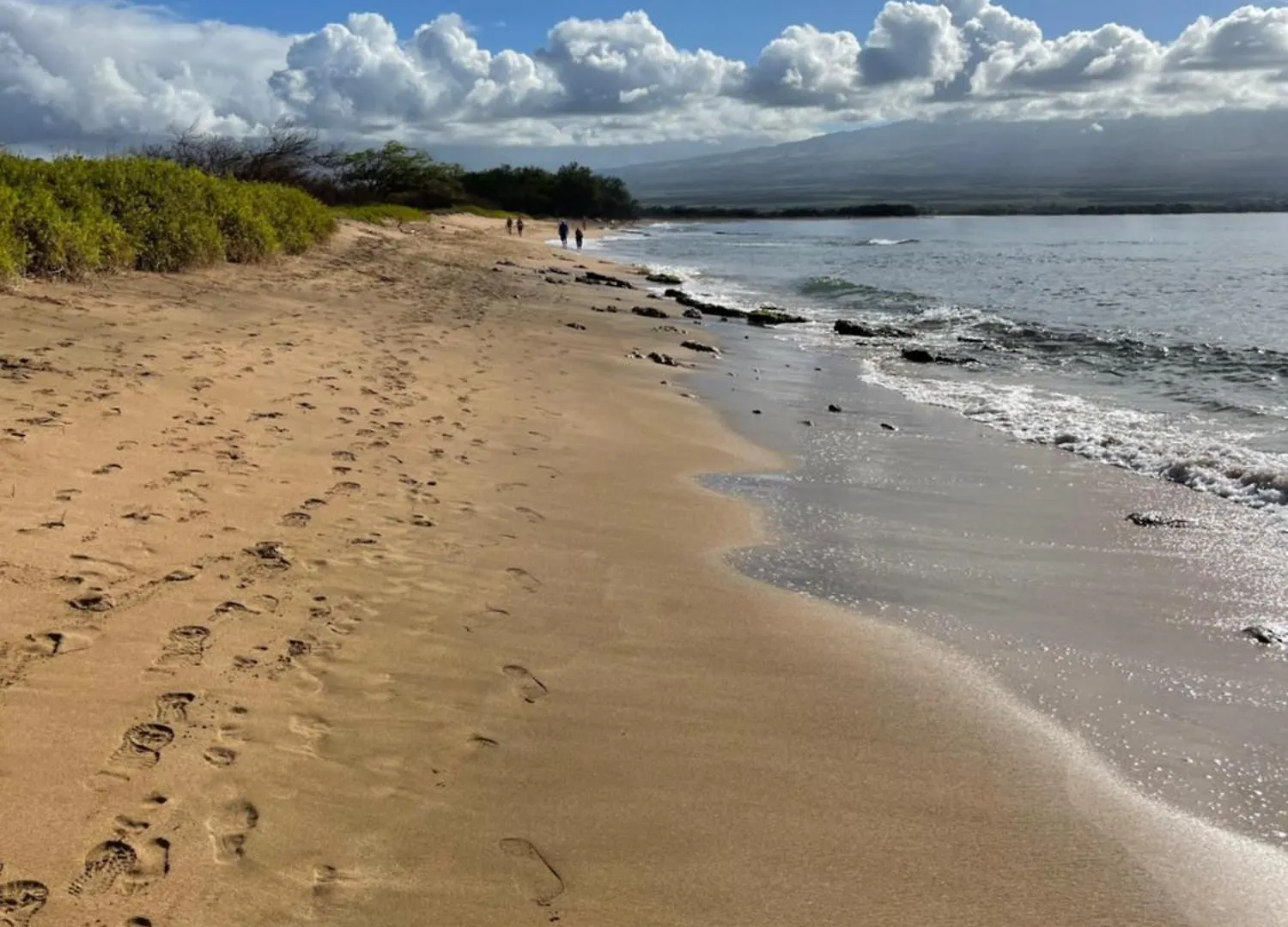 Kanai A Nalu Wailuku United States